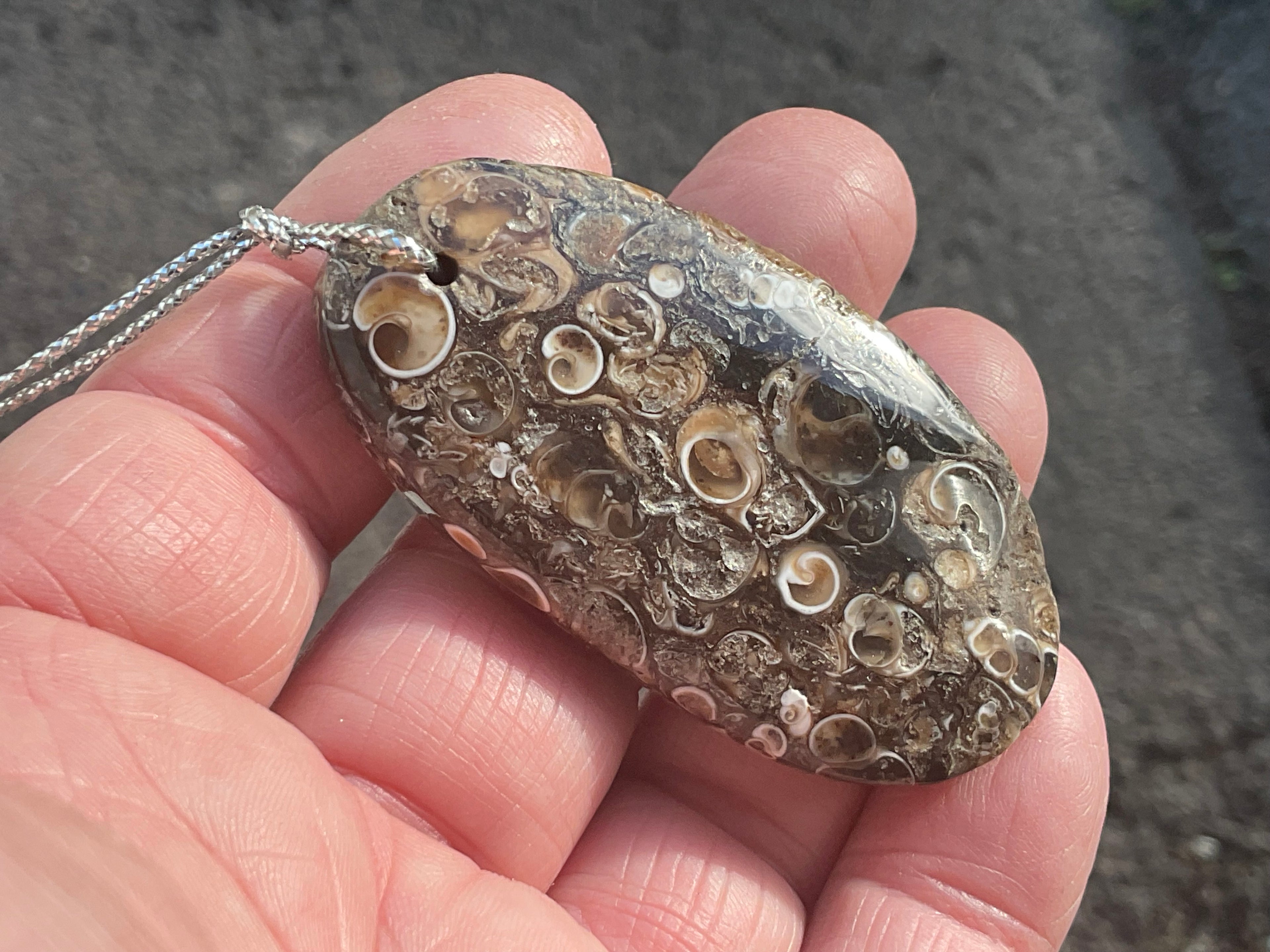 28g Large Turitella Agate Polished Pendant 2B