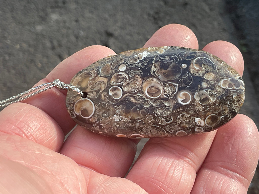 28g Large Turitella Agate Polished Pendant 2B