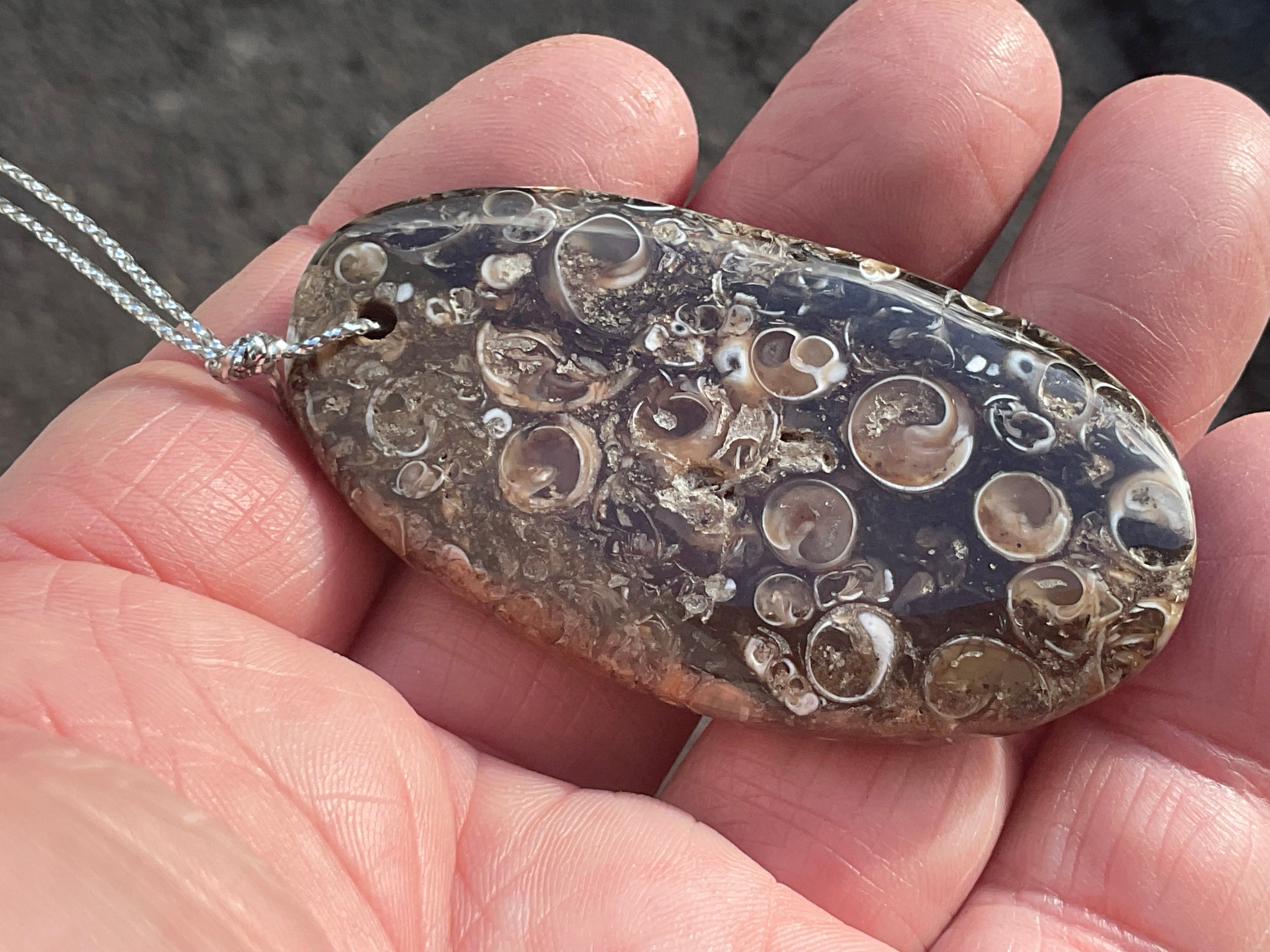 28g Large Turitella Agate Polished Pendant 2B