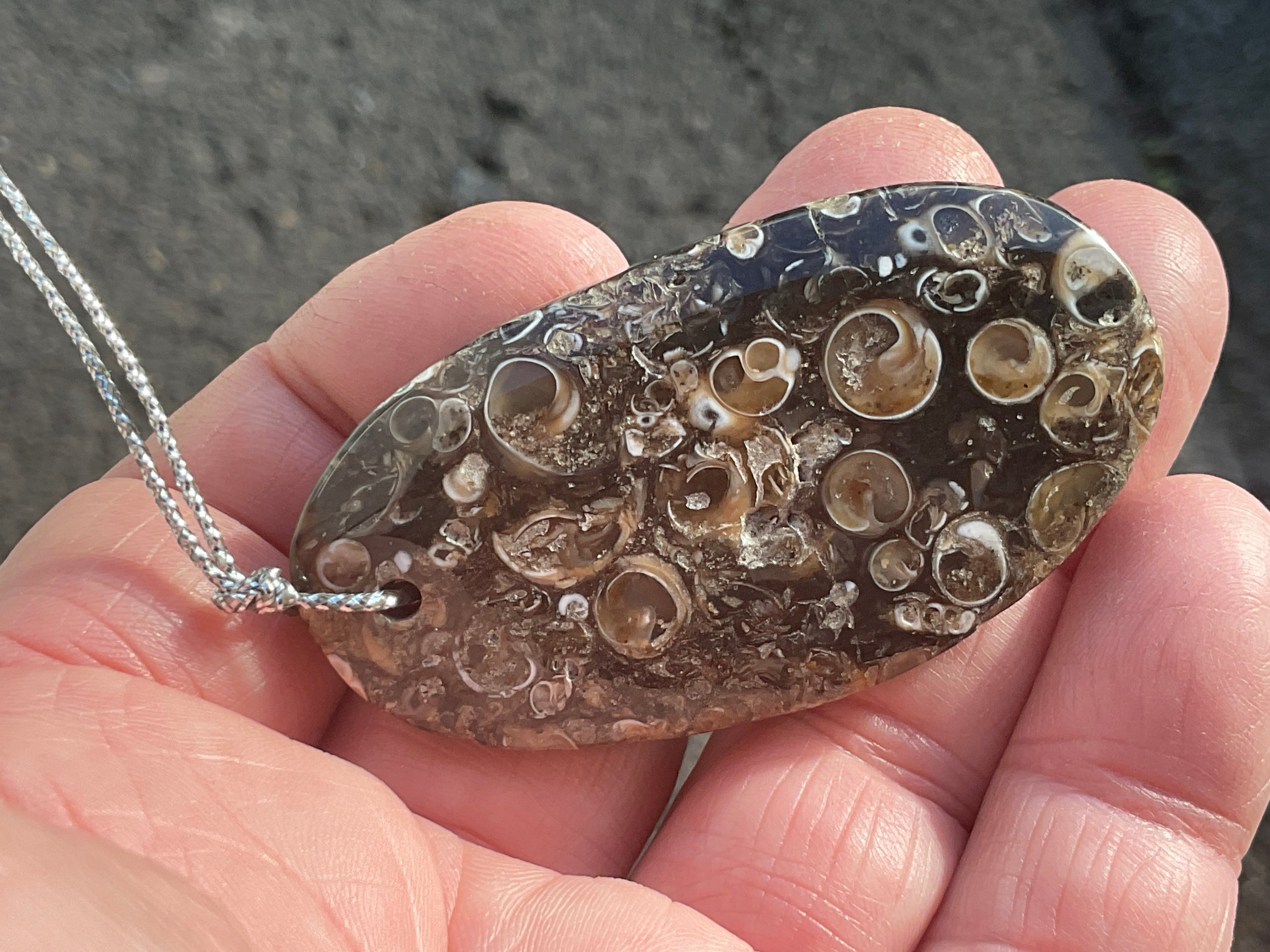28g Large Turitella Agate Polished Pendant 2B