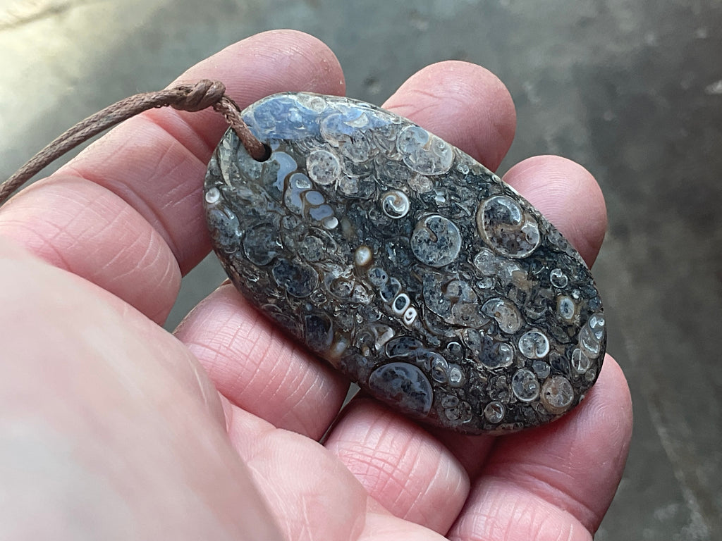 28g Large Turitella Agate Polished Pendant 2C