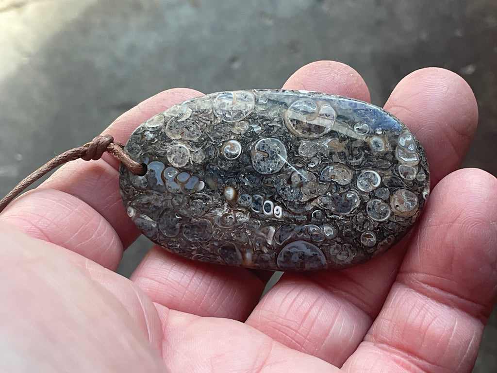28g Large Turitella Agate Polished Pendant 2C