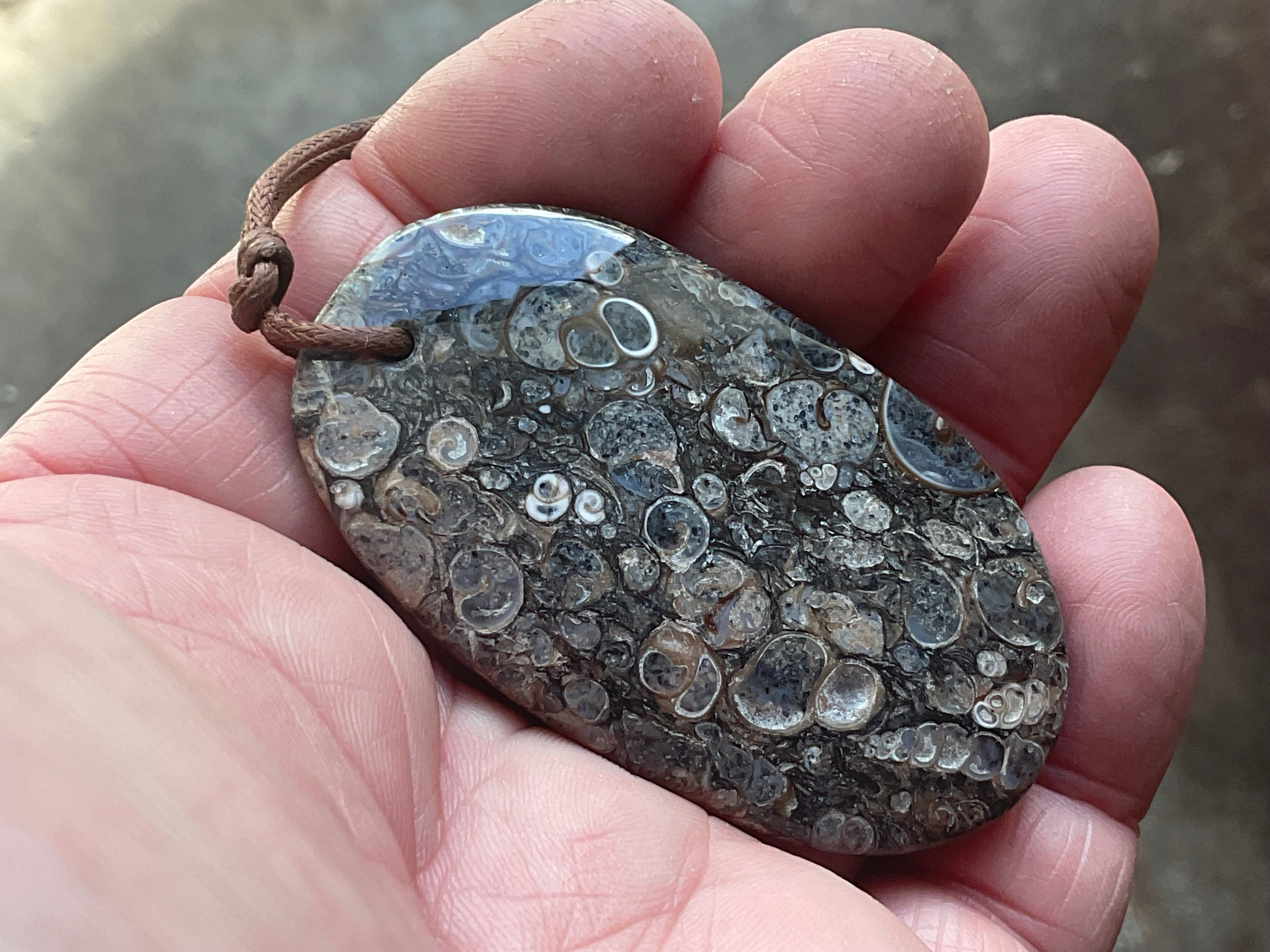 28g Large Turitella Agate Polished Pendant 2C