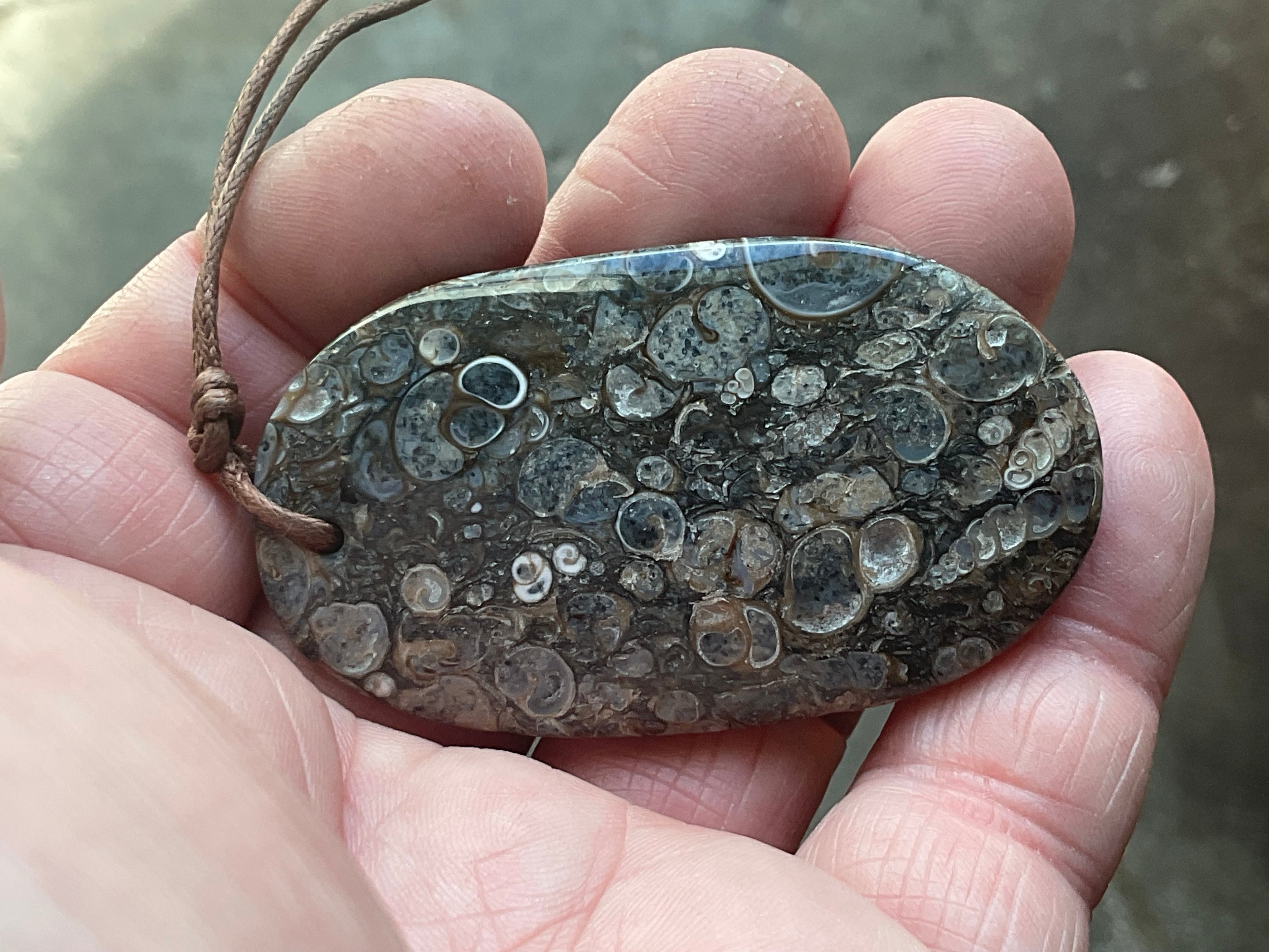 28g Large Turitella Agate Polished Pendant 2C