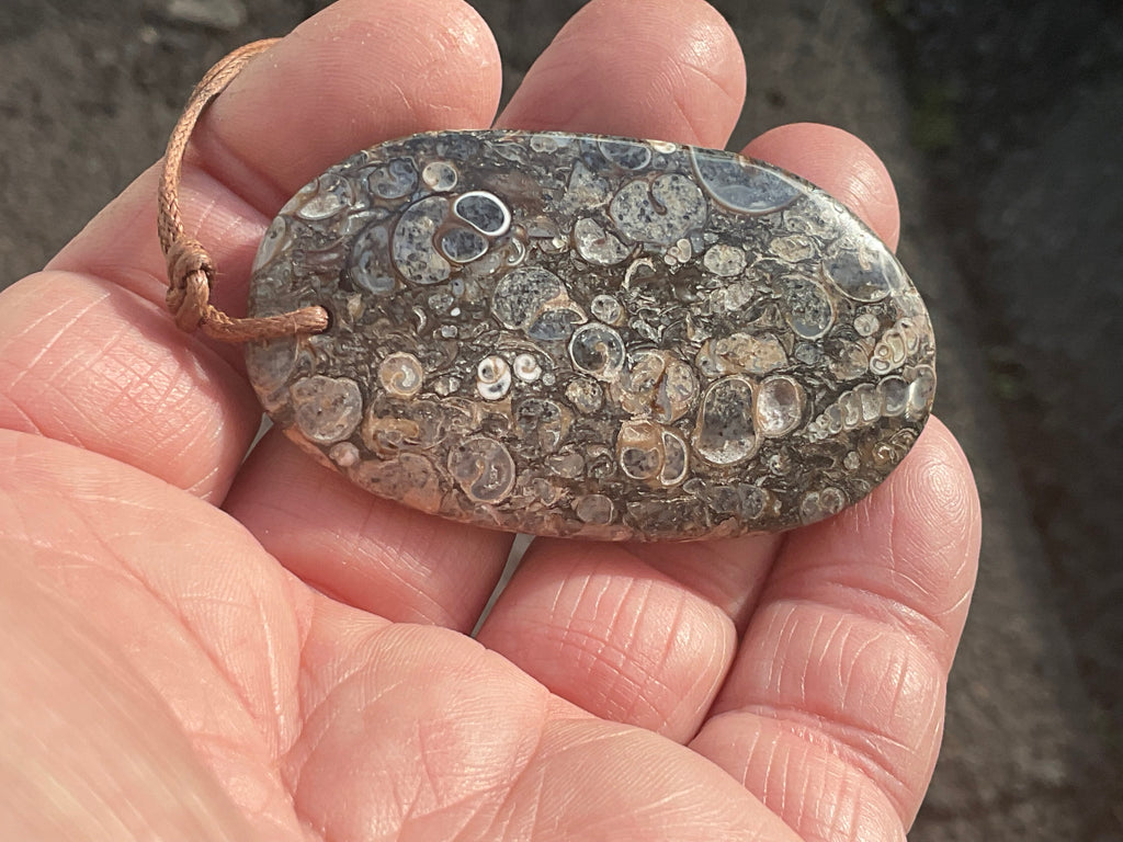 28g Large Turitella Agate Polished Pendant 2C