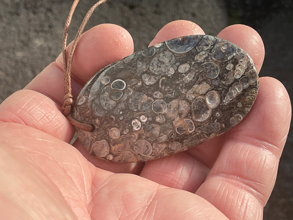 28g Large Turitella Agate Polished Pendant 2C