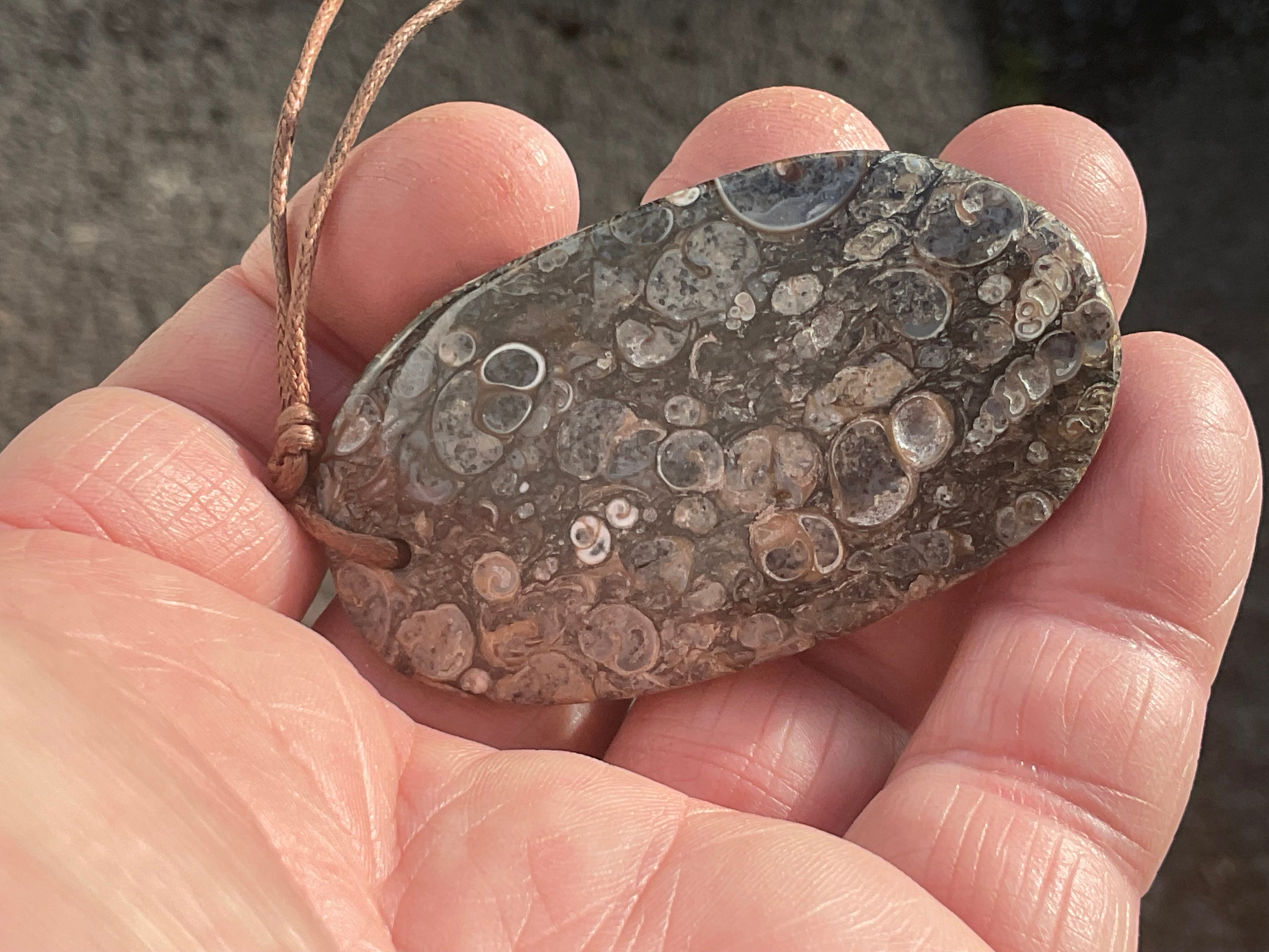 28g Large Turitella Agate Polished Pendant 2C
