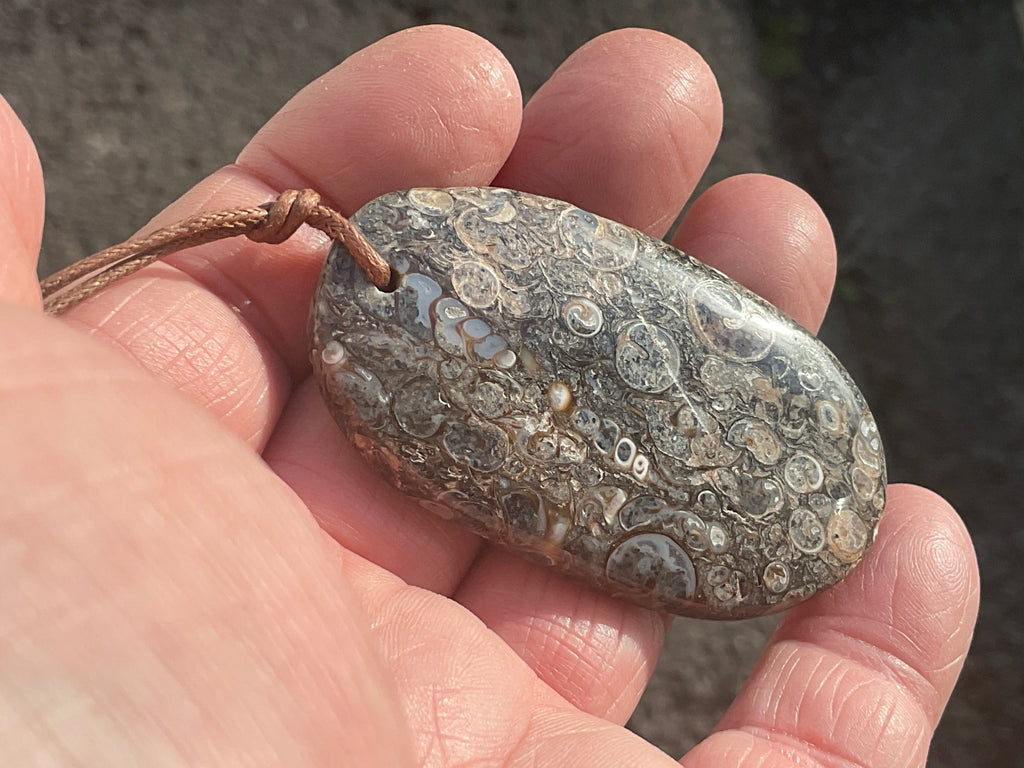 28g Large Turitella Agate Polished Pendant 2C