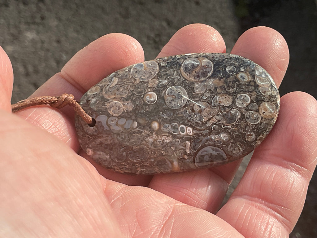 28g Large Turitella Agate Polished Pendant 2C