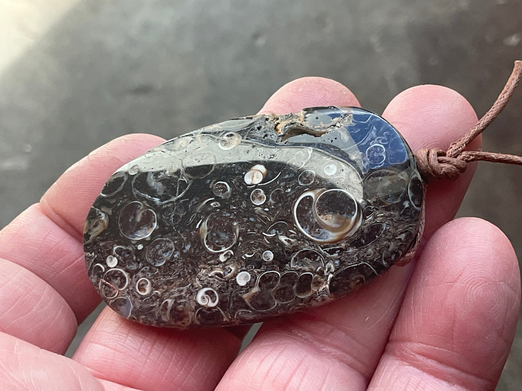 28g Large Turitella Agate Polished Pendant 3A