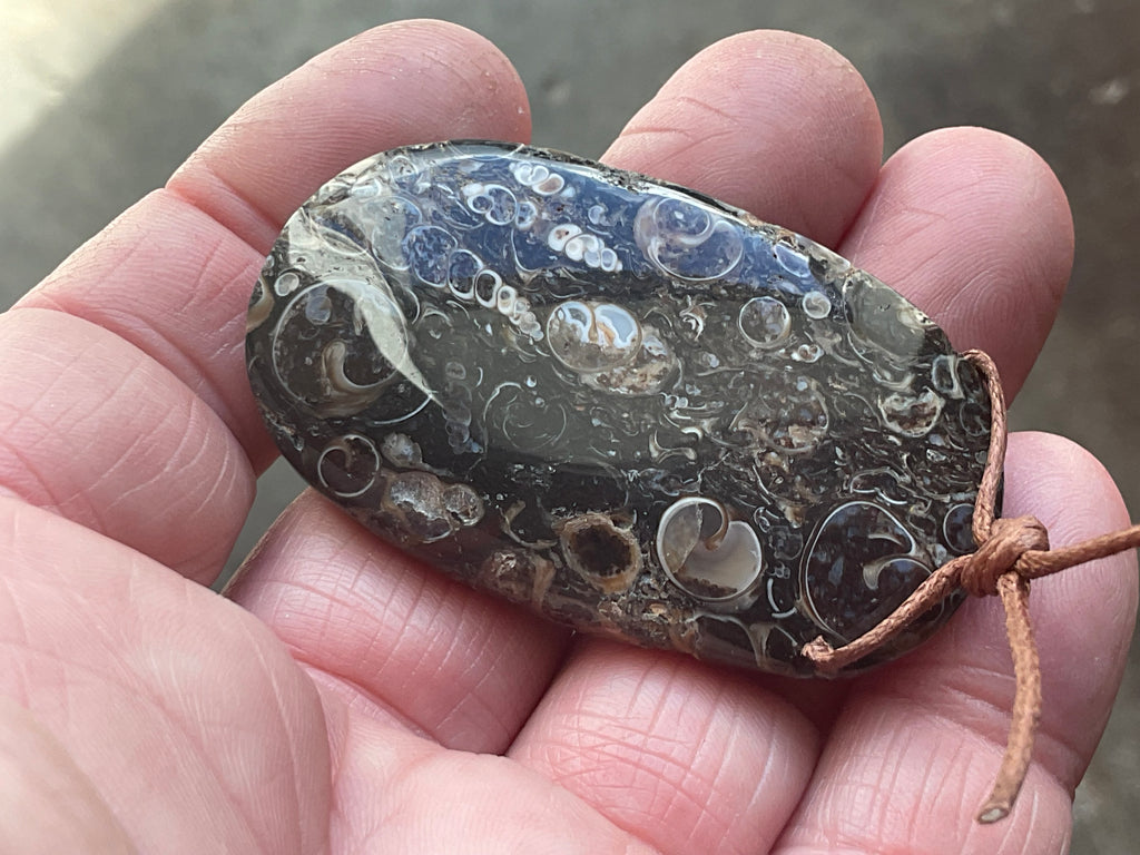 28g Large Turitella Agate Polished Pendant 3A