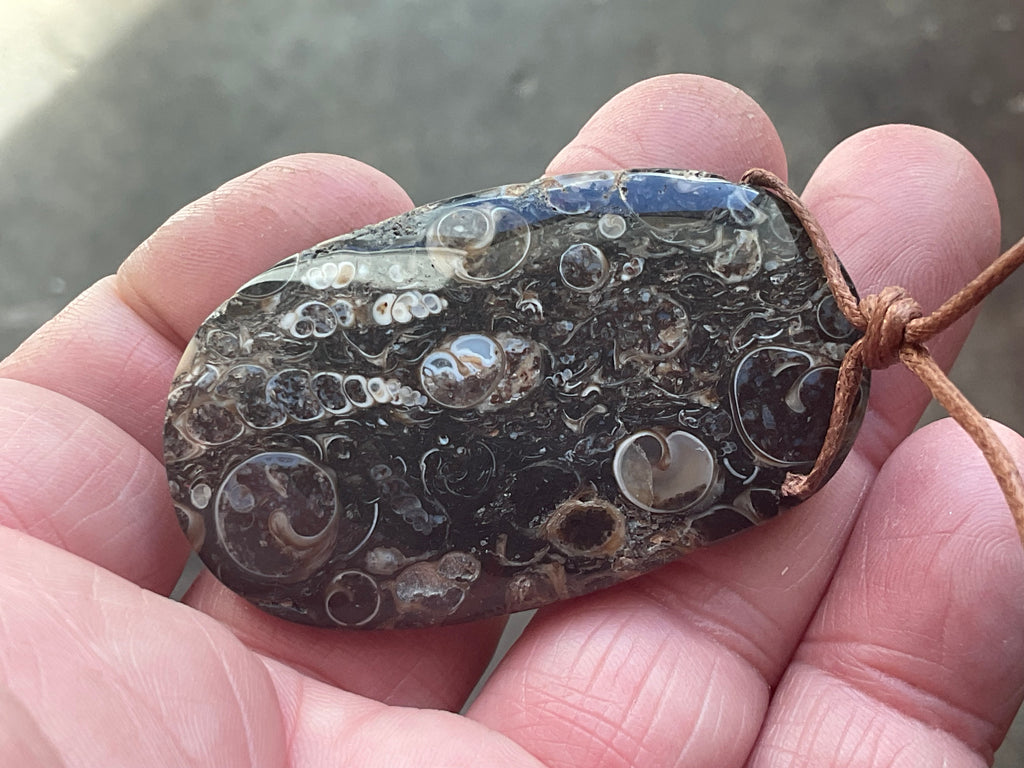 28g Large Turitella Agate Polished Pendant 3A