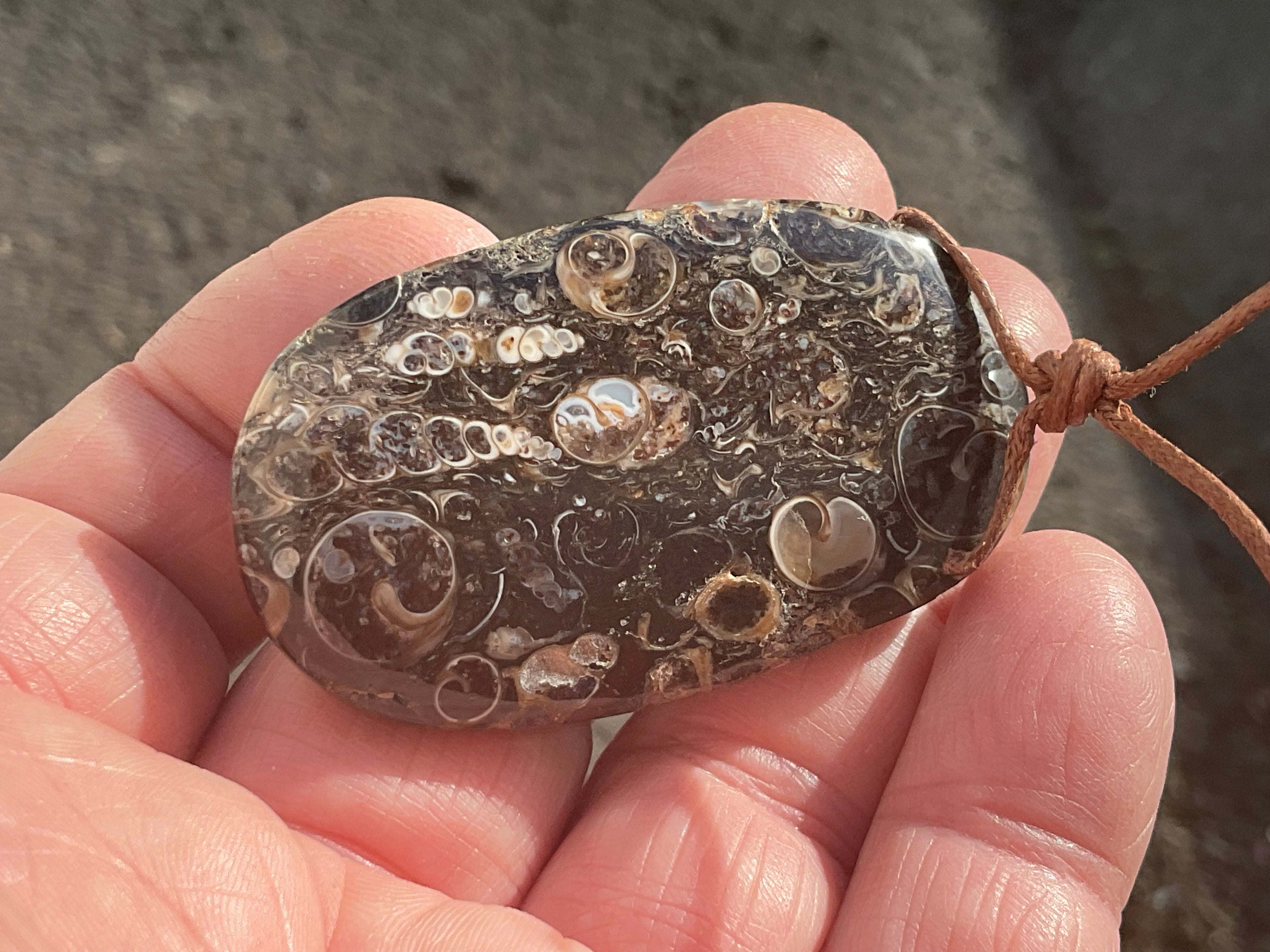 28g Large Turitella Agate Polished Pendant 3A