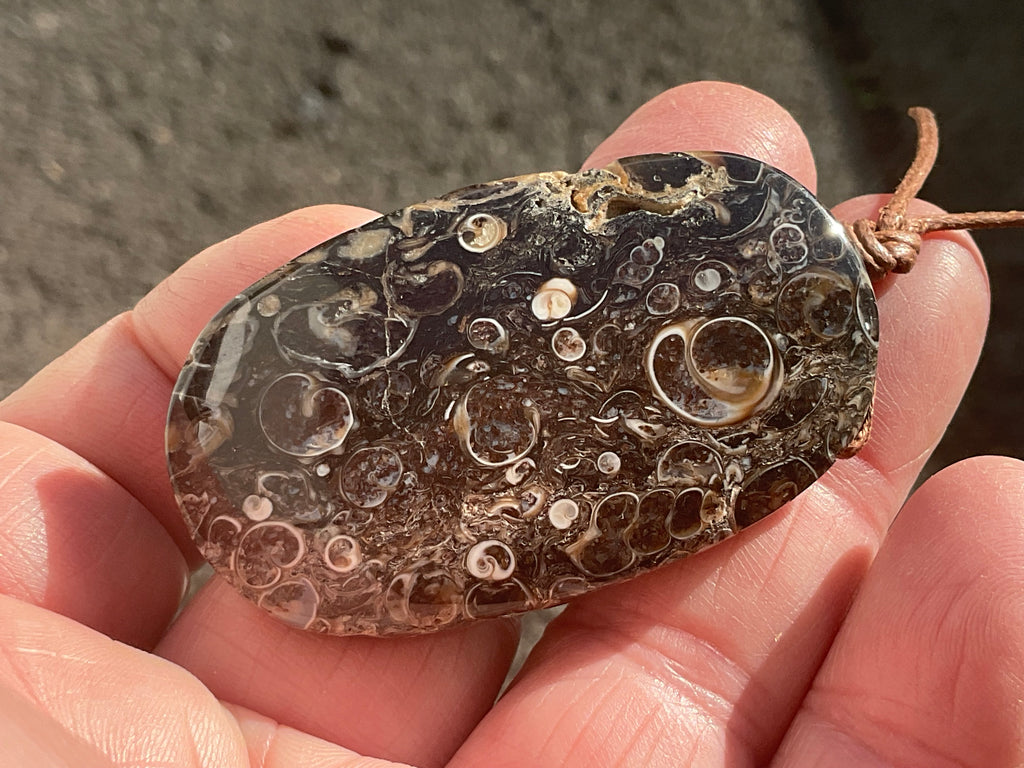 28g Large Turitella Agate Polished Pendant 3A