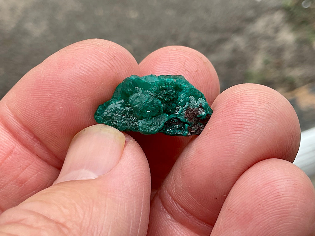 2g Congolese Dioptase Natural Specimen 1B