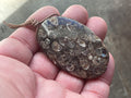 26g Large Turitella Polished Pendant 3B