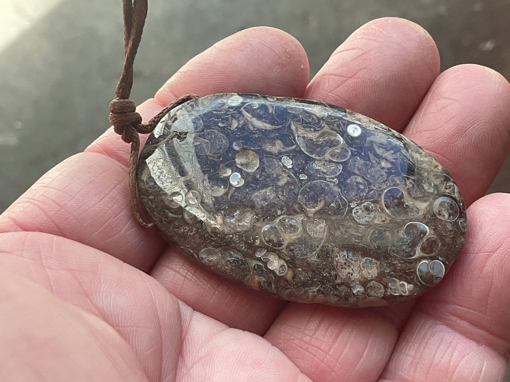 26g Large Turitella Polished Pendant 3B
