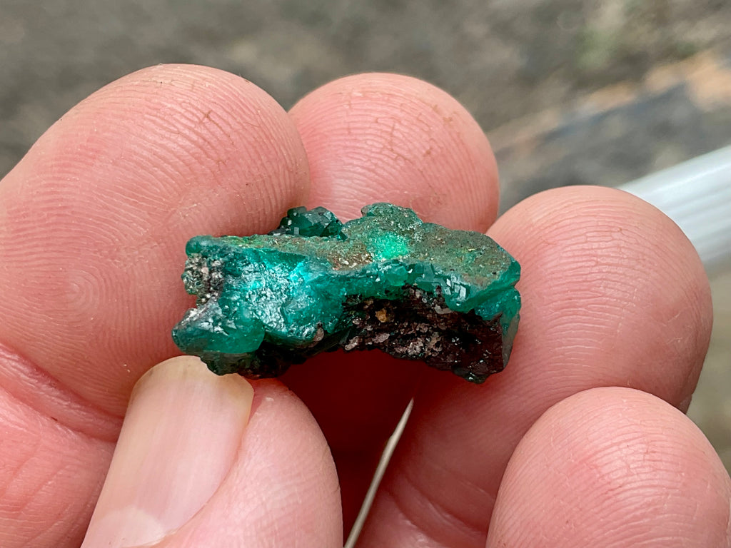 3g Congolese Dioptase Natural Specimen 2A