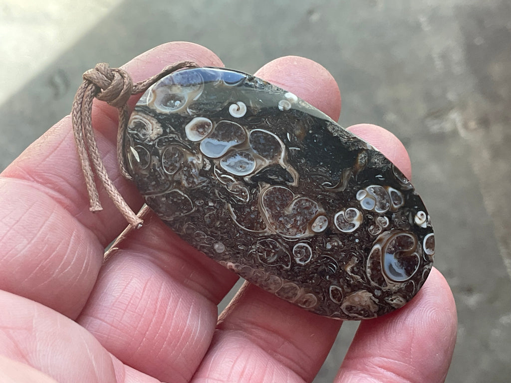 26g Large Turitella Agate Polished Pendant 3C