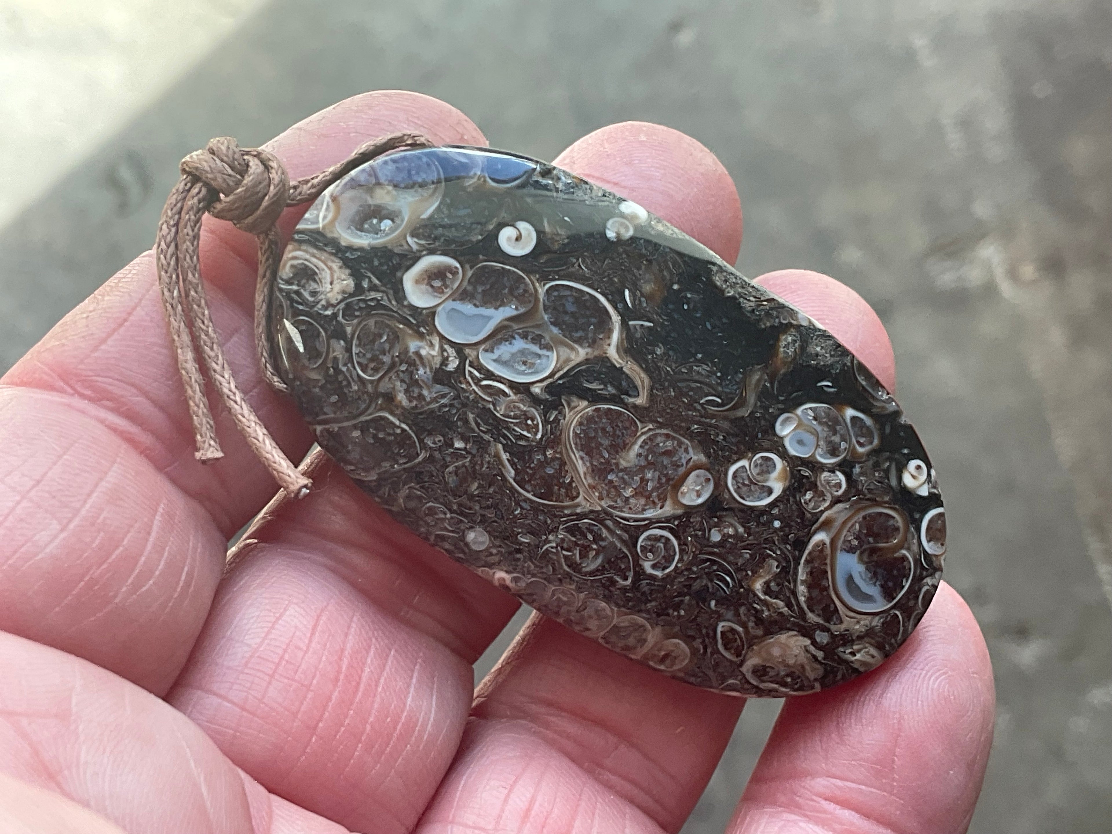 26g Large Turitella Agate Polished Pendant 3C