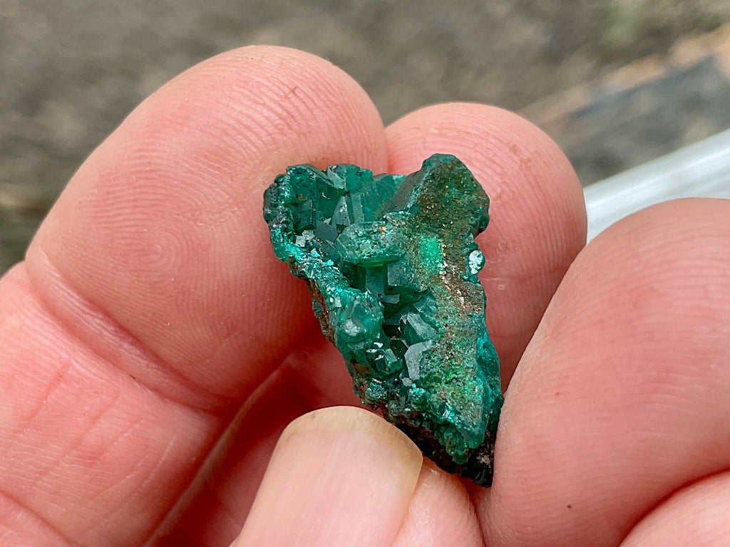 3g Congolese Dioptase Natural Specimen 2A