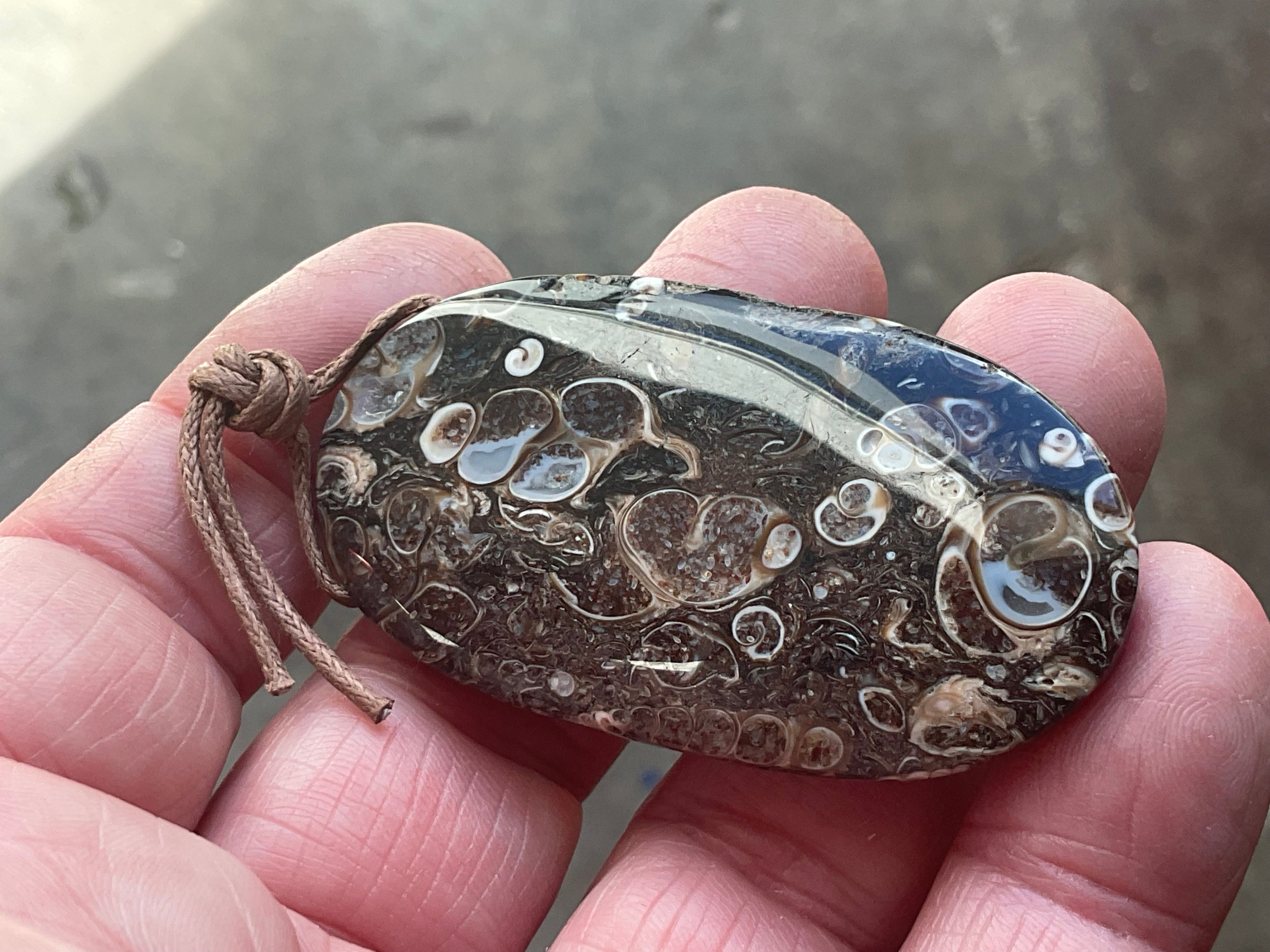 26g Large Turitella Agate Polished Pendant 3C