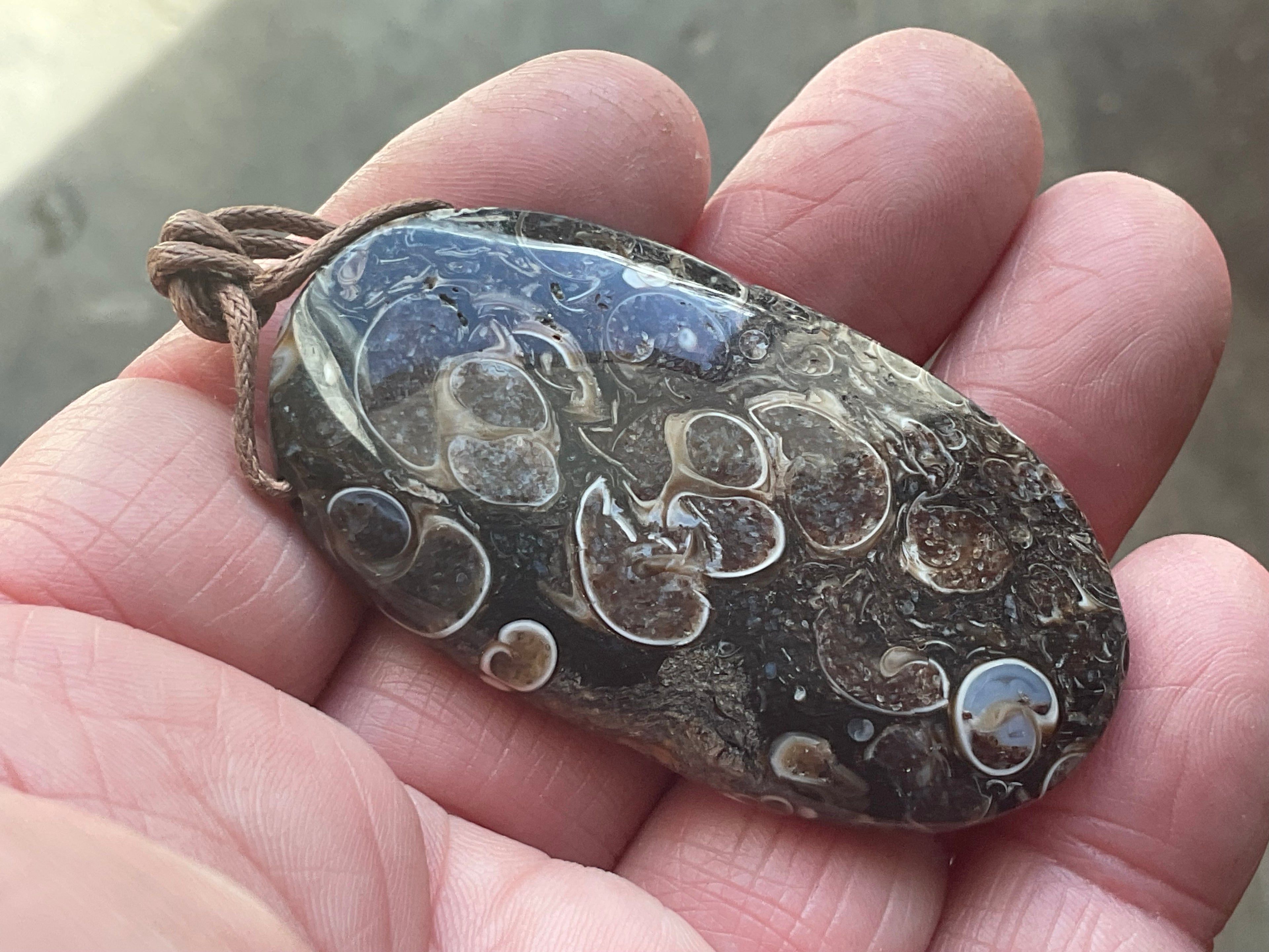 26g Large Turitella Agate Polished Pendant 3C