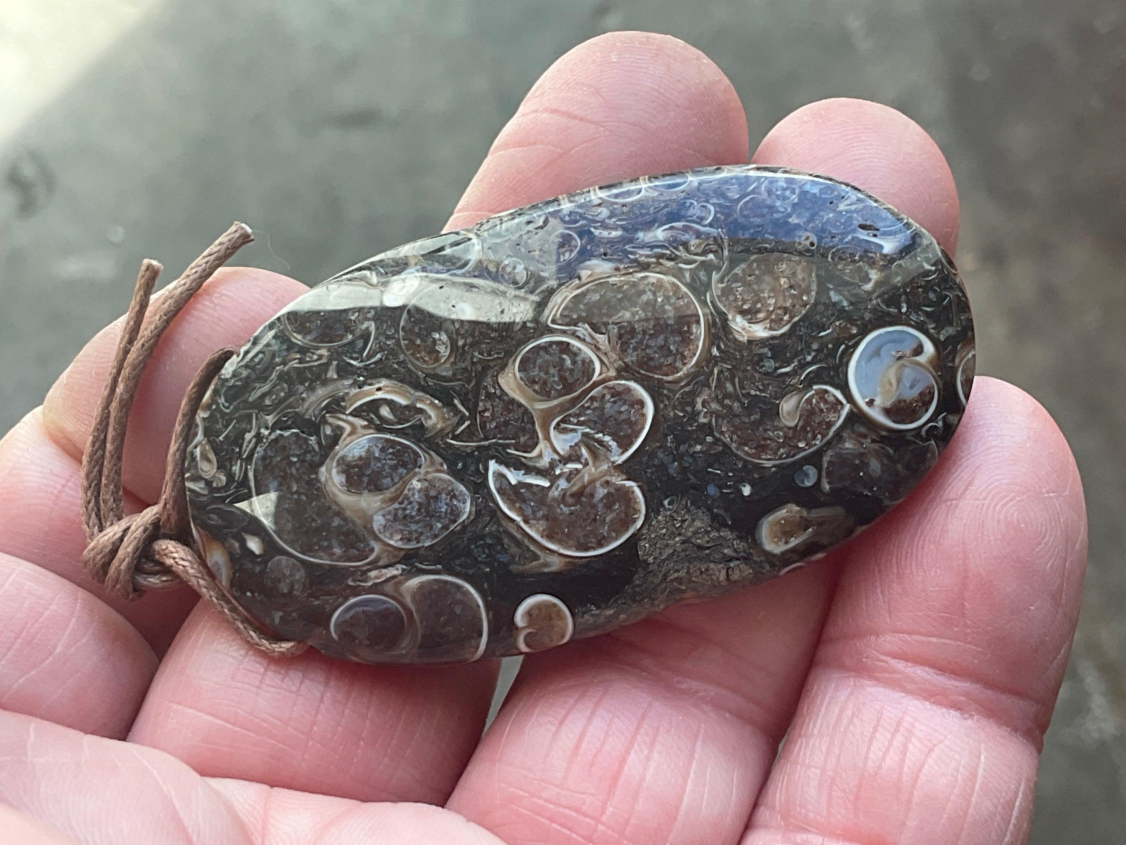 26g Large Turitella Agate Polished Pendant 3C