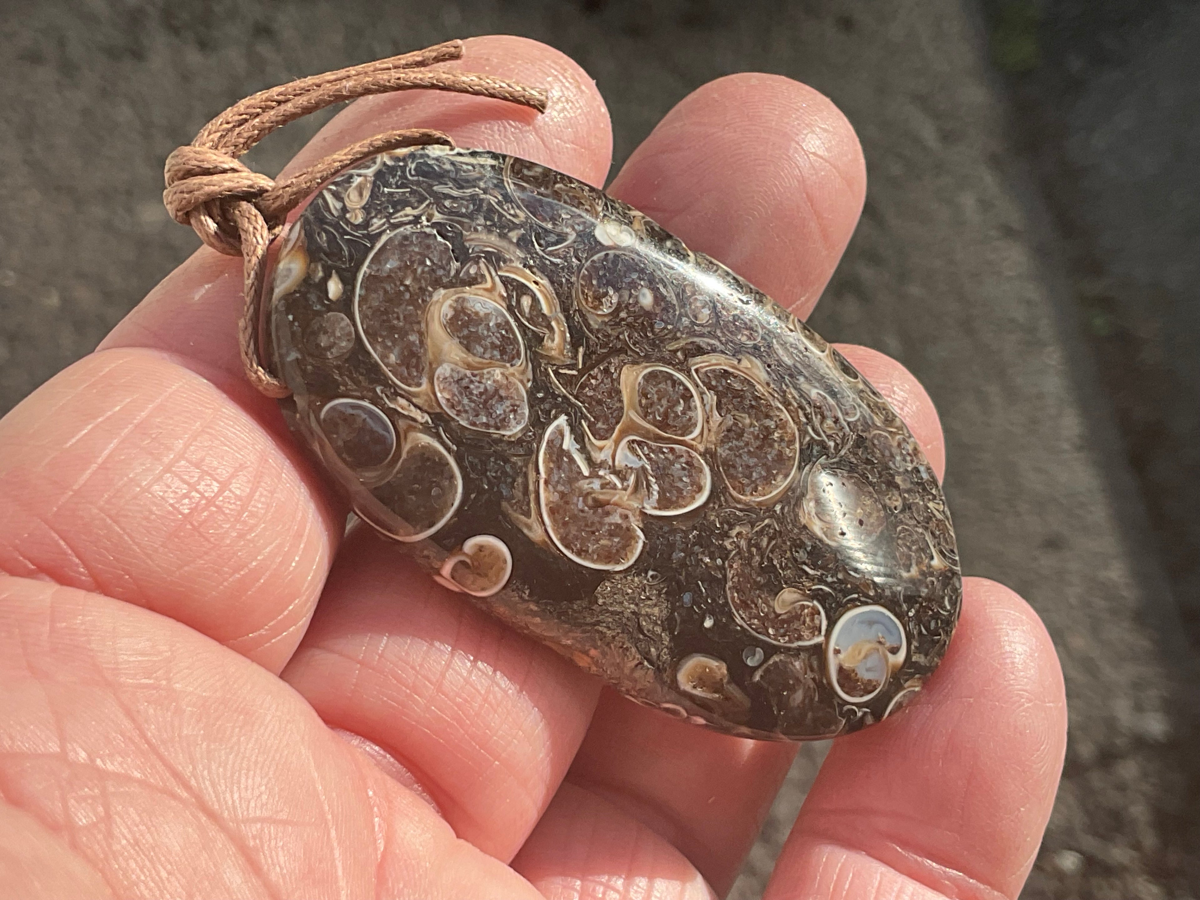 26g Large Turitella Agate Polished Pendant 3C