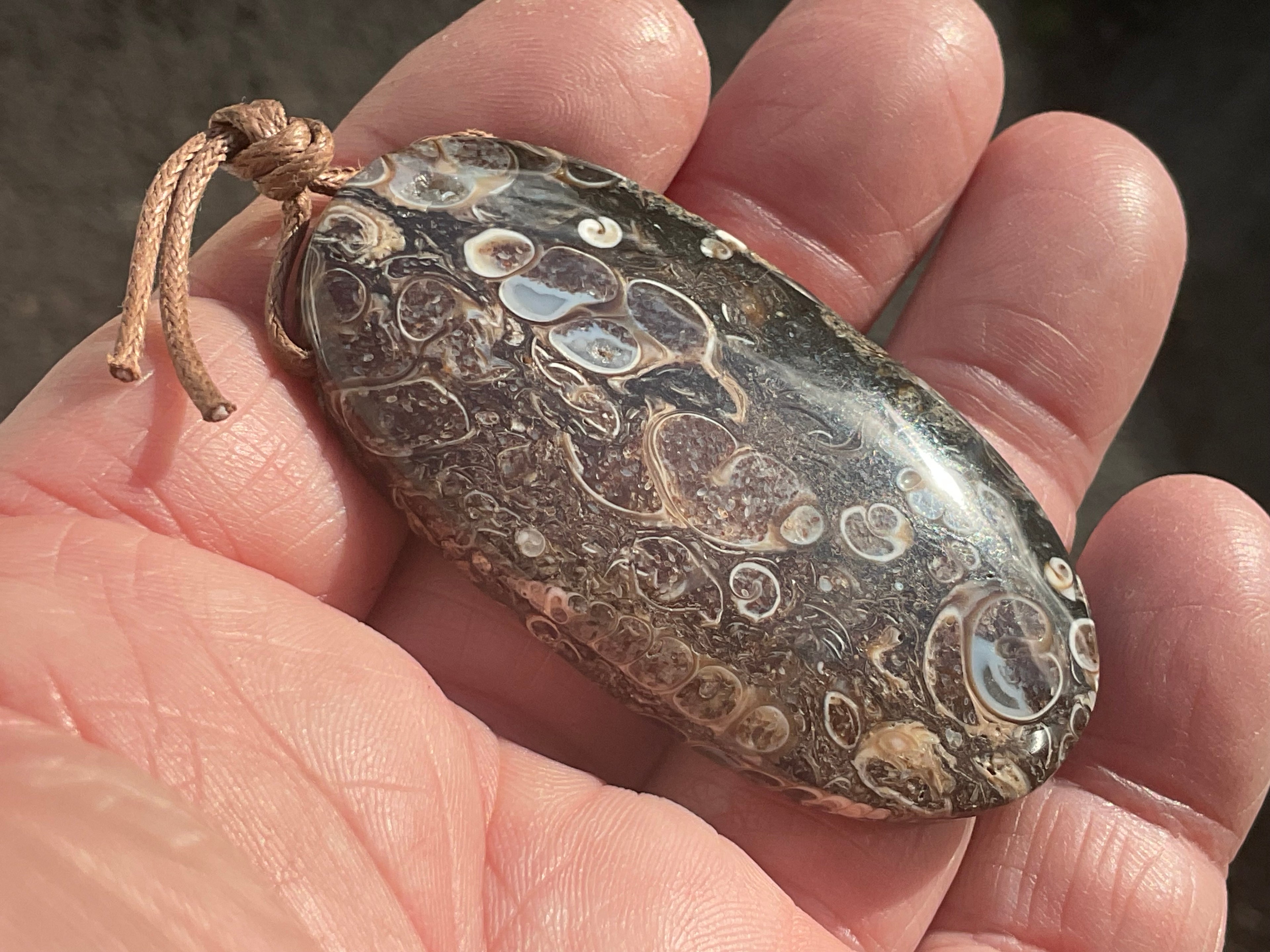 26g Large Turitella Agate Polished Pendant 3C