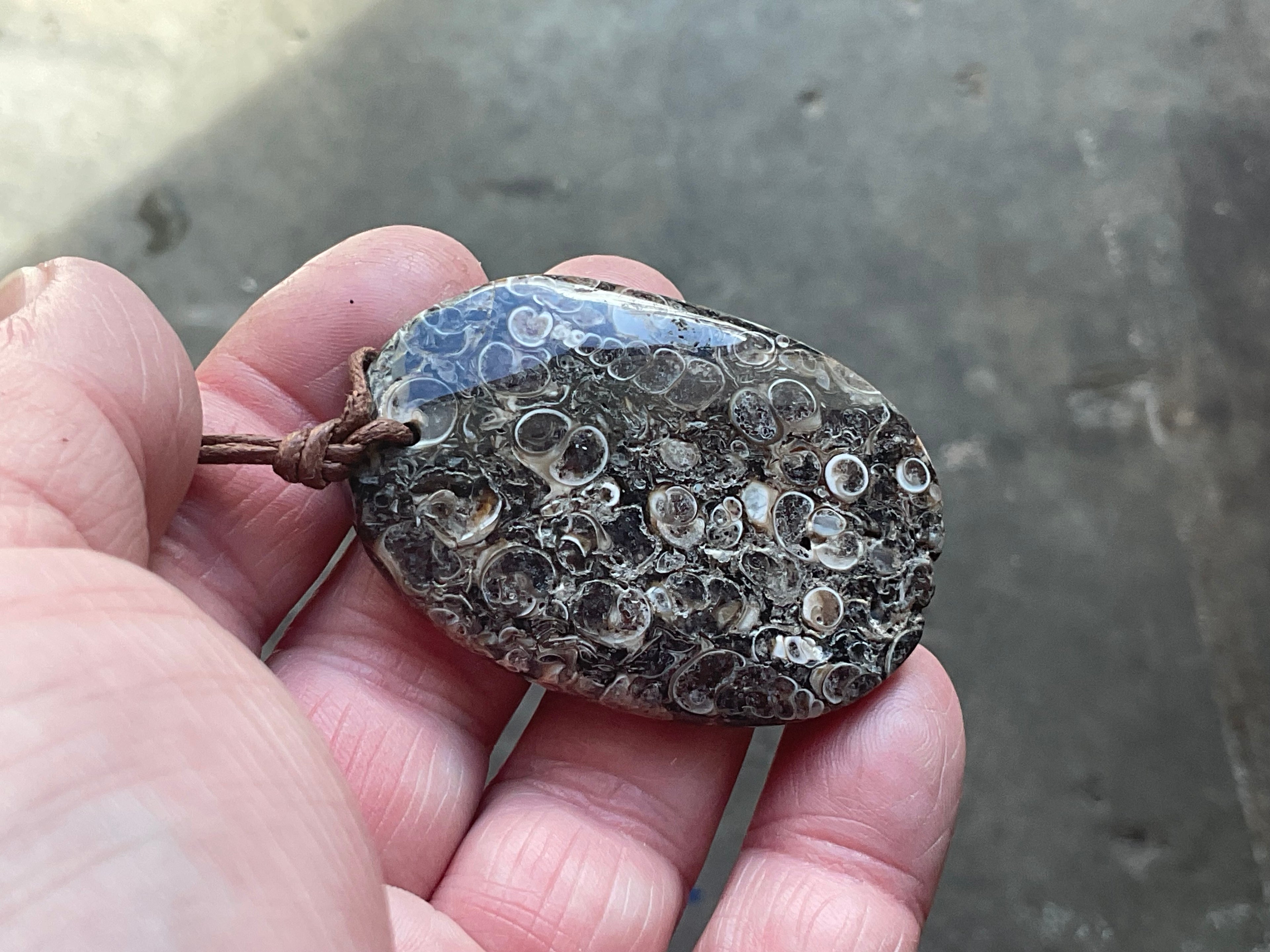26g Large Turitella Agate Polished Pendant 2A