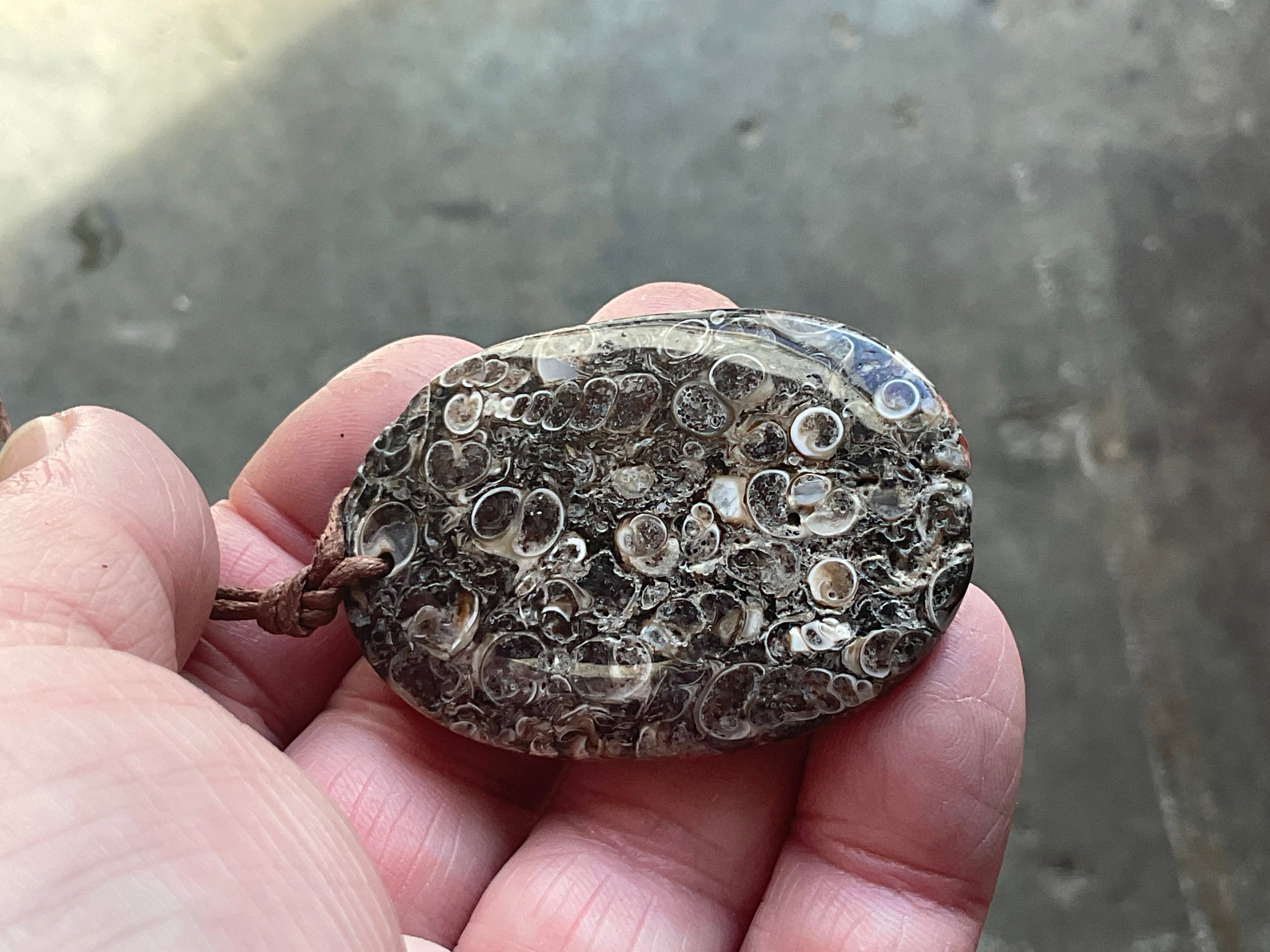 26g Large Turitella Agate Polished Pendant 2A