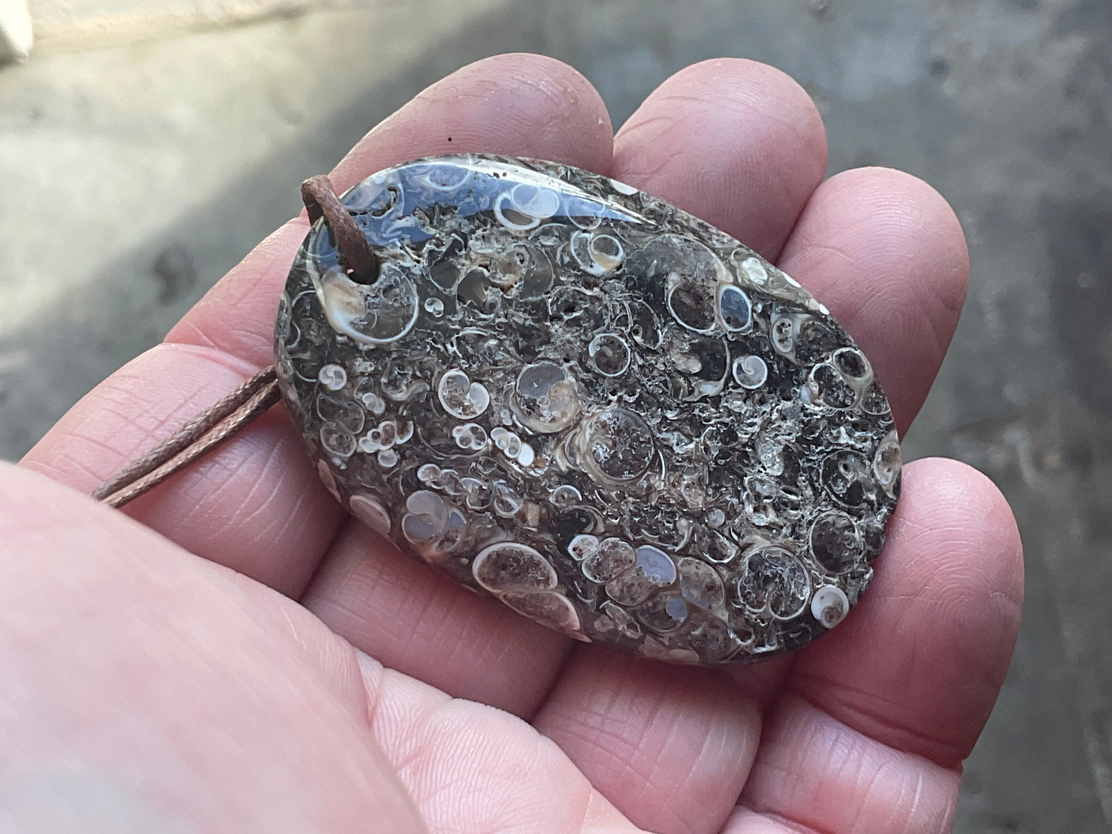 26g Large Turitella Agate Polished Pendant 2A