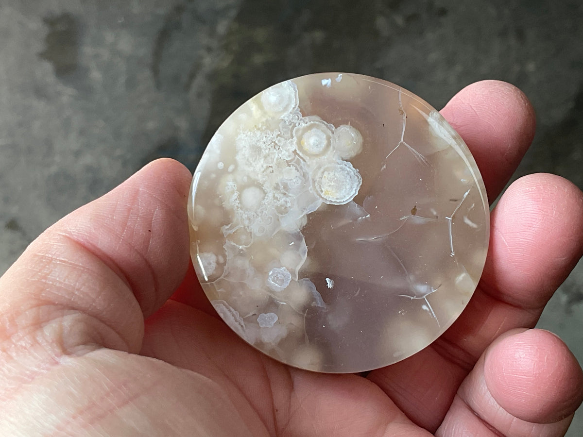 109g Flower Agate Polished Disk 1B