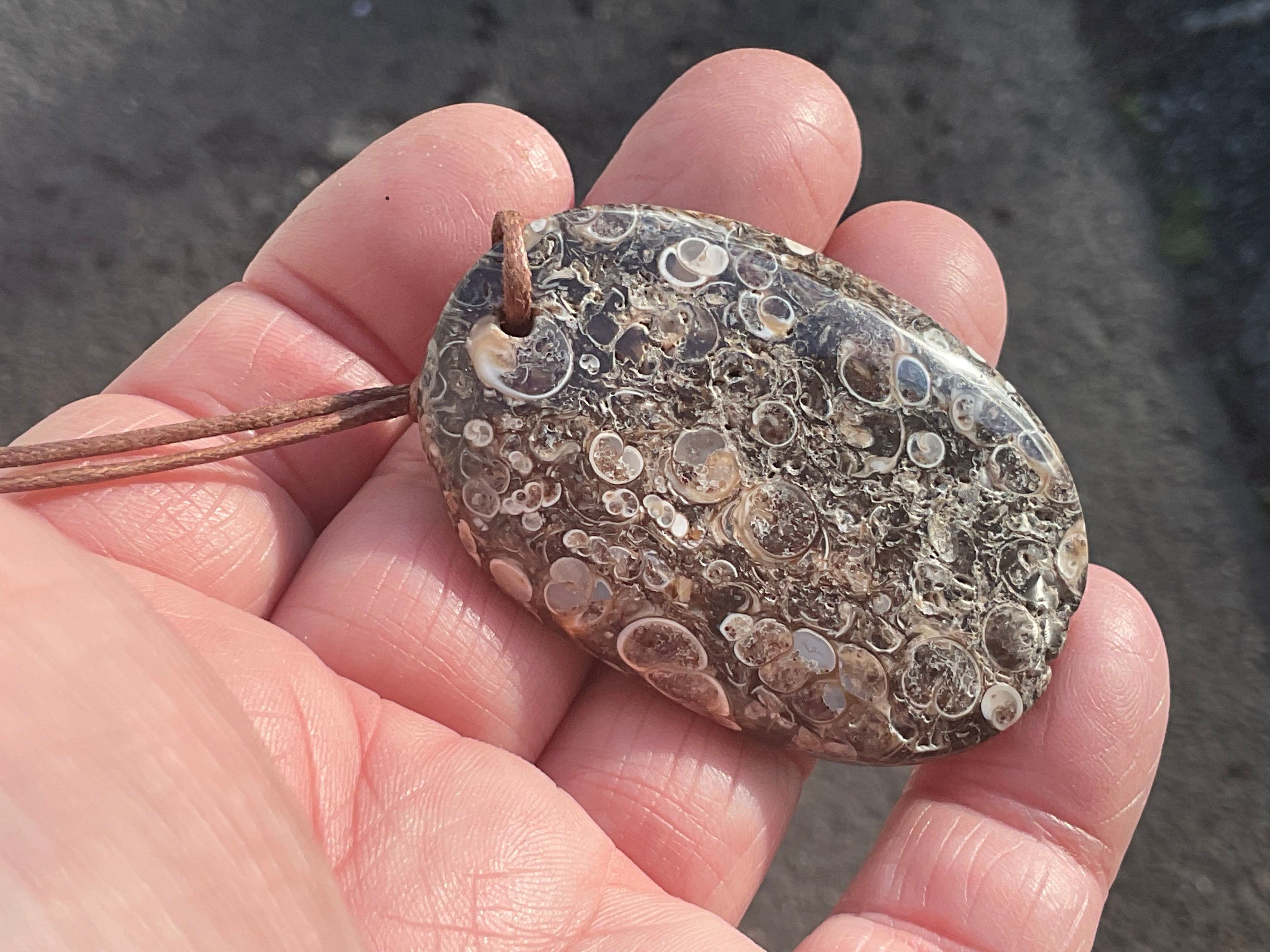 26g Large Turitella Agate Polished Pendant 2A