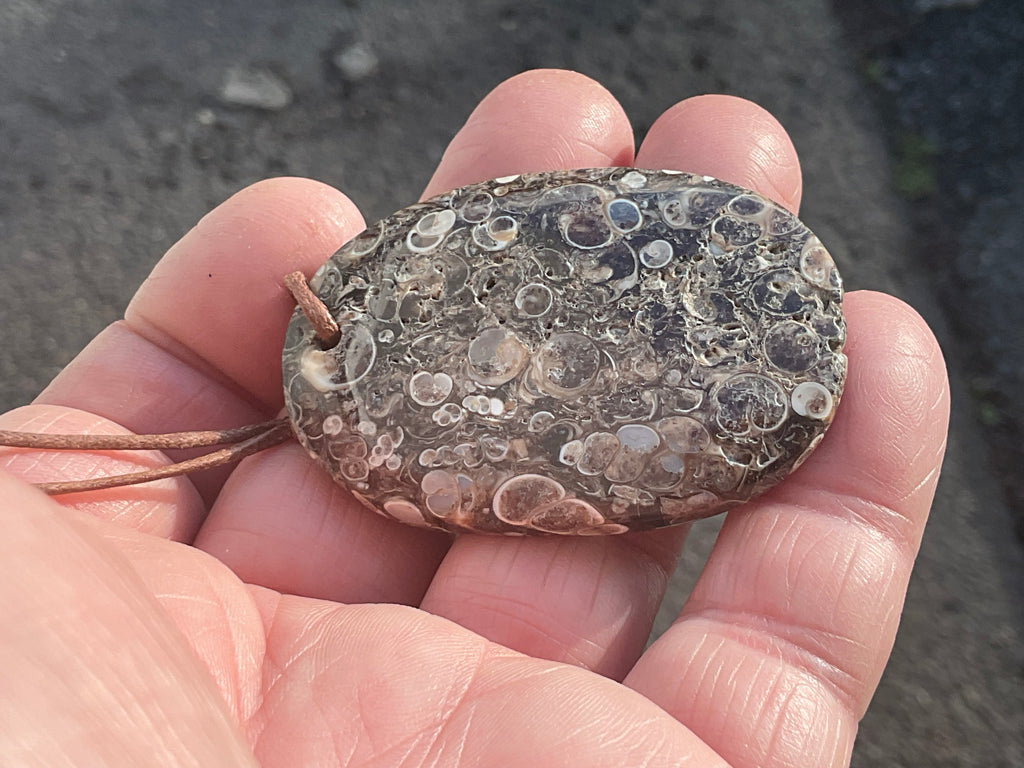 26g Large Turitella Agate Polished Pendant 2A
