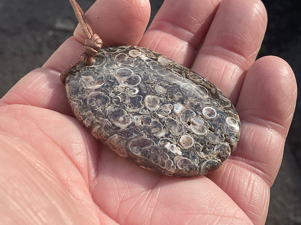26g Large Turitella Agate Polished Pendant 2A