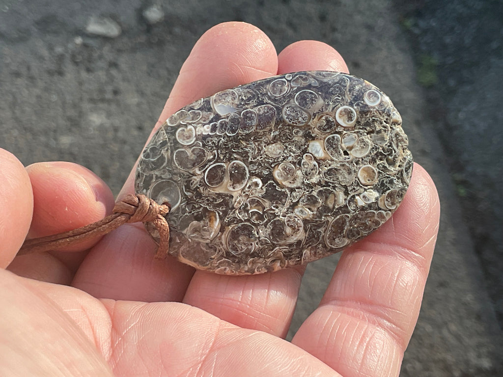 26g Large Turitella Agate Polished Pendant 2A