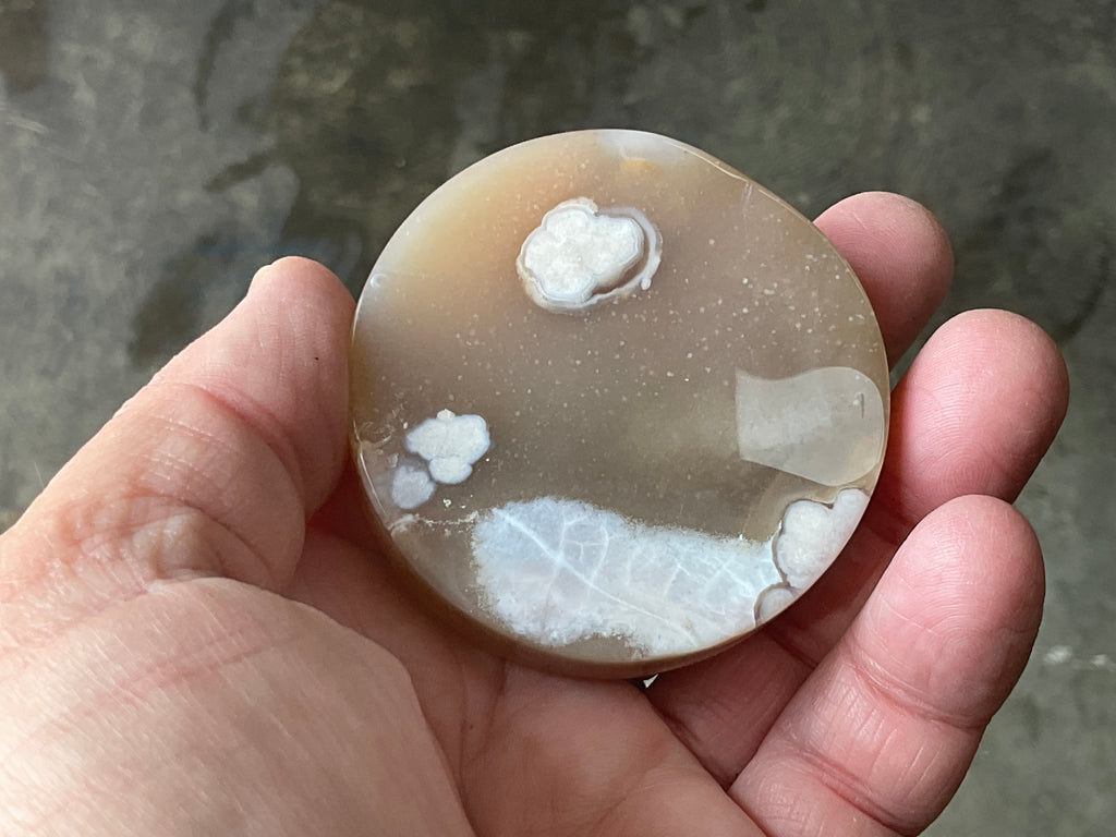 100g Flower Agate Polished Disc 2A
