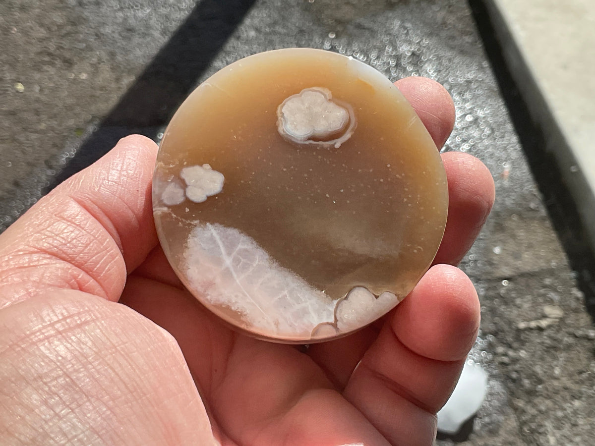 100g Flower Agate Polished Disc 2A