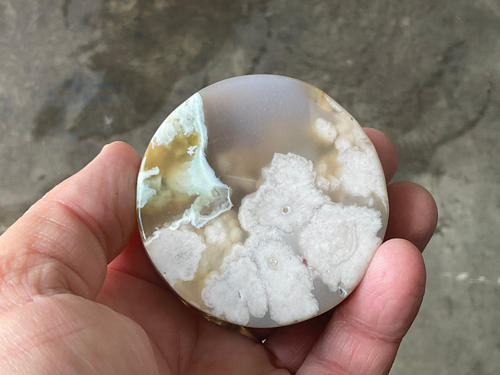 162g Flower Agate Polished Disc 2B