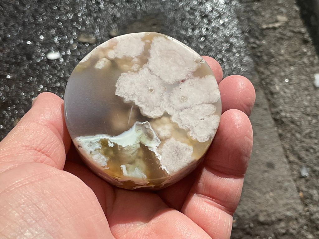 162g Flower Agate Polished Disc 2B
