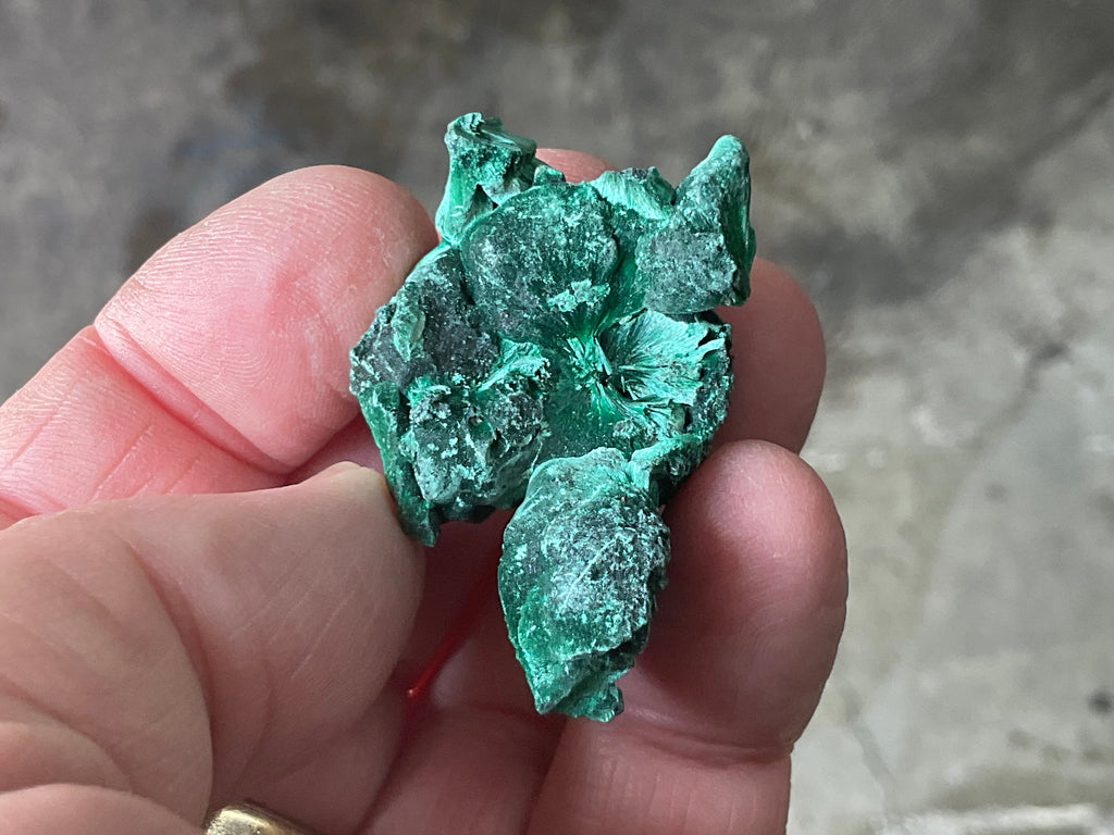 25g Silky Congolese Malachite Specimen 2A