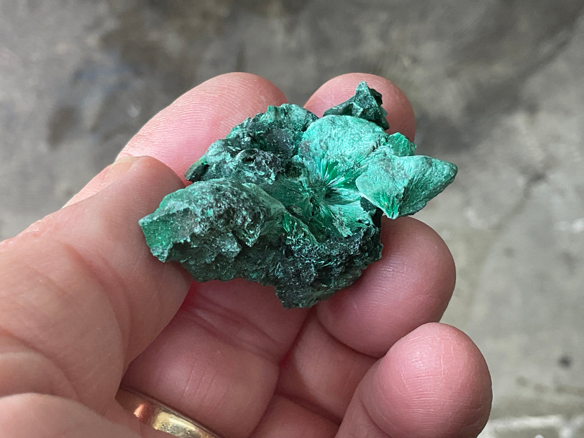 25g Silky Congolese Malachite Specimen 2A
