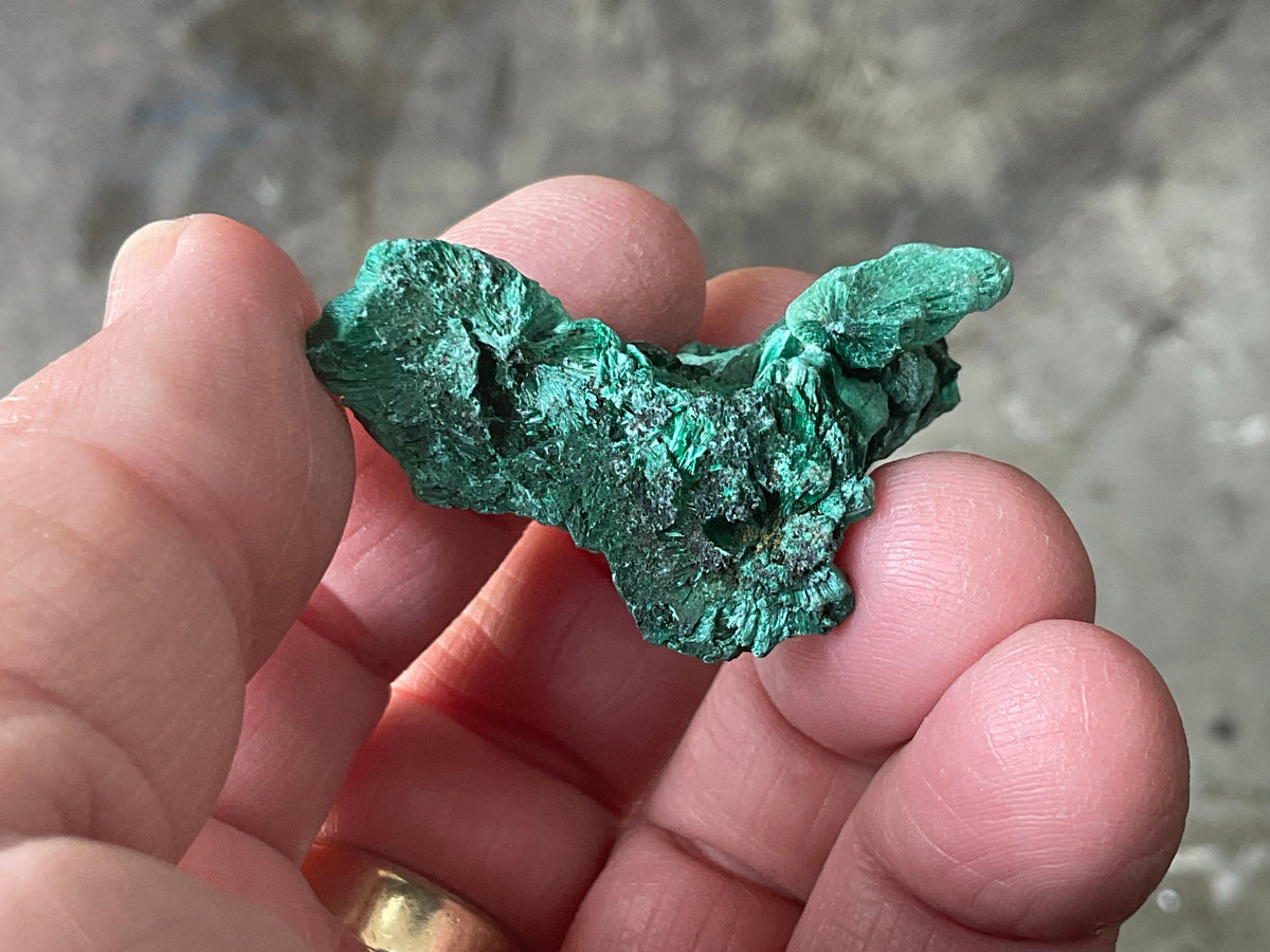 25g Silky Congolese Malachite Specimen 2A