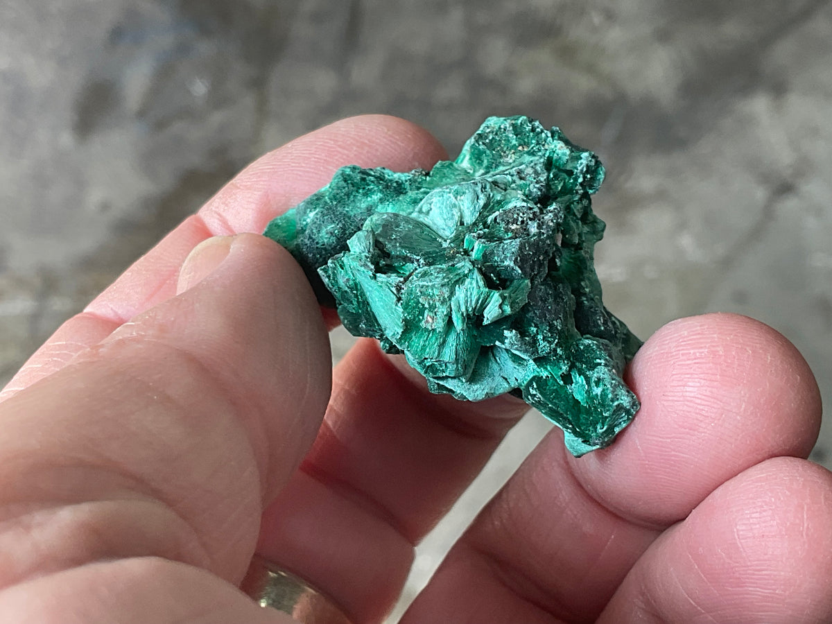 25g Silky Congolese Malachite Specimen 2A