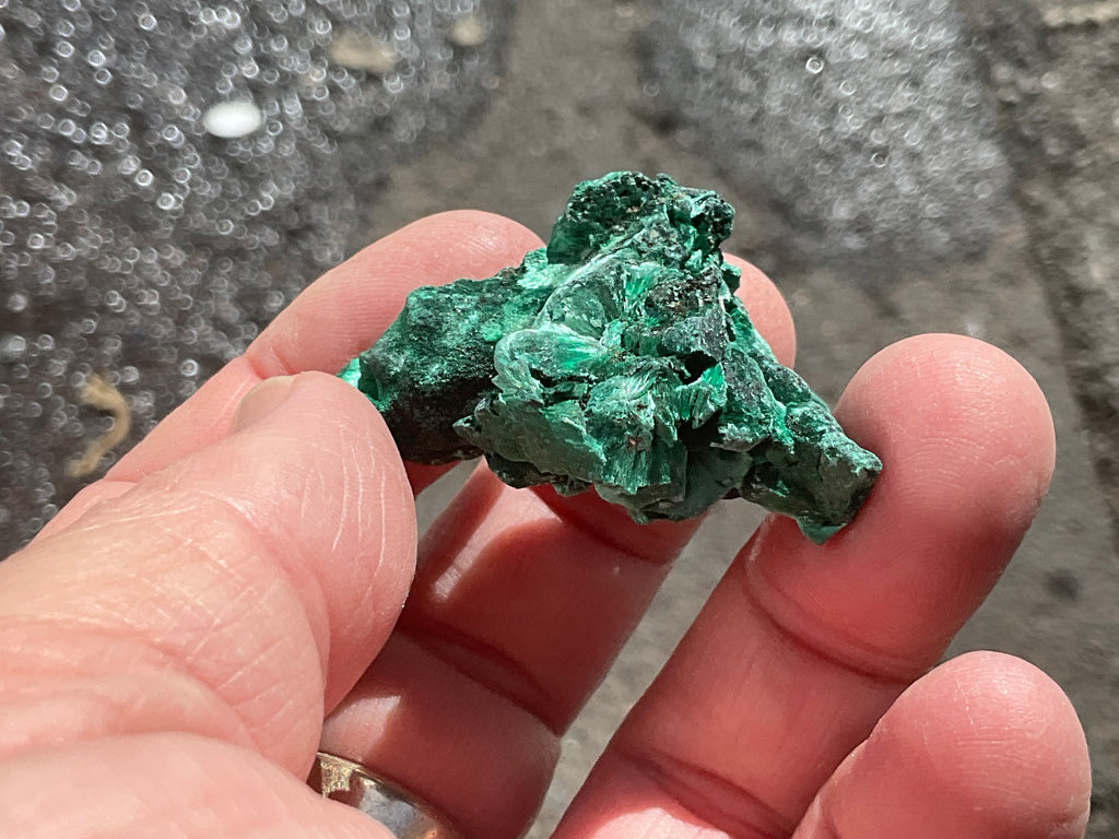 25g Silky Congolese Malachite Specimen 2A