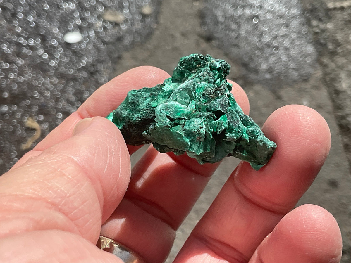 25g Silky Congolese Malachite Specimen 2A