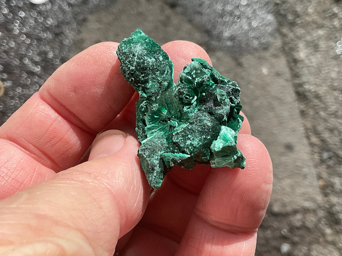25g Silky Congolese Malachite Specimen 2A