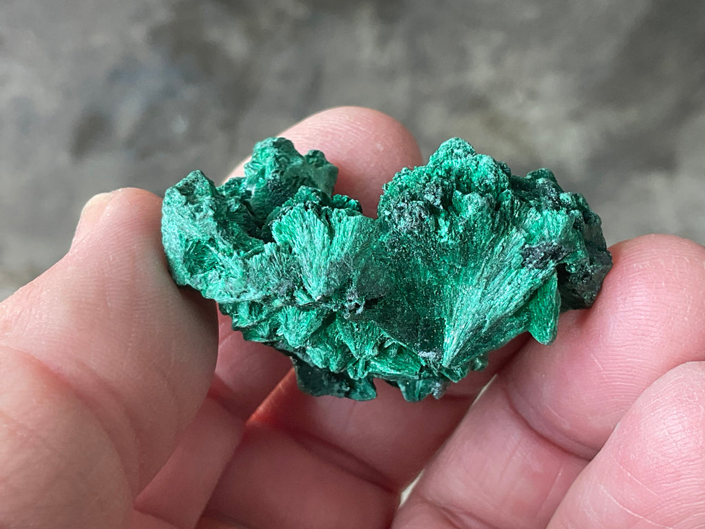 30g Silky Congolese Malachite Specimen 3A